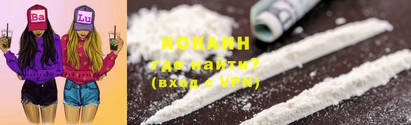 соль ск Няндома