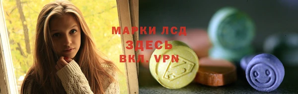 соль ск Няндома