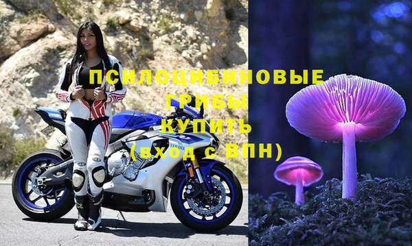 соль ск Няндома