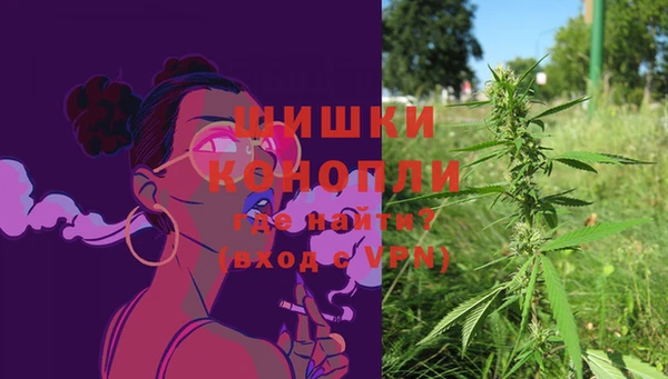 соль ск Няндома