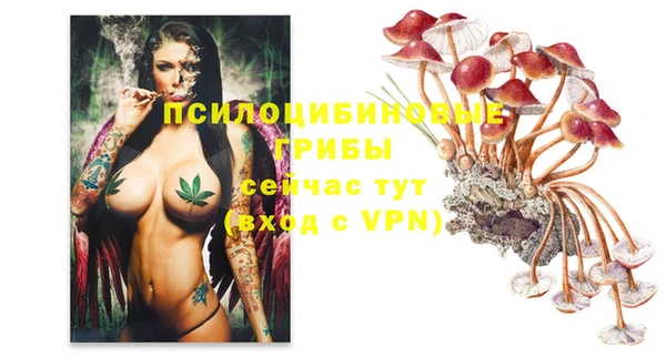 соль ск Няндома