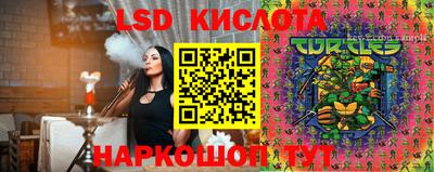 шишки Аргун