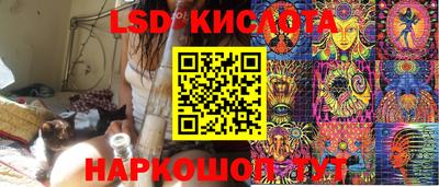 шишки Аргун