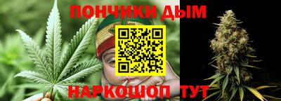 шишки Аргун