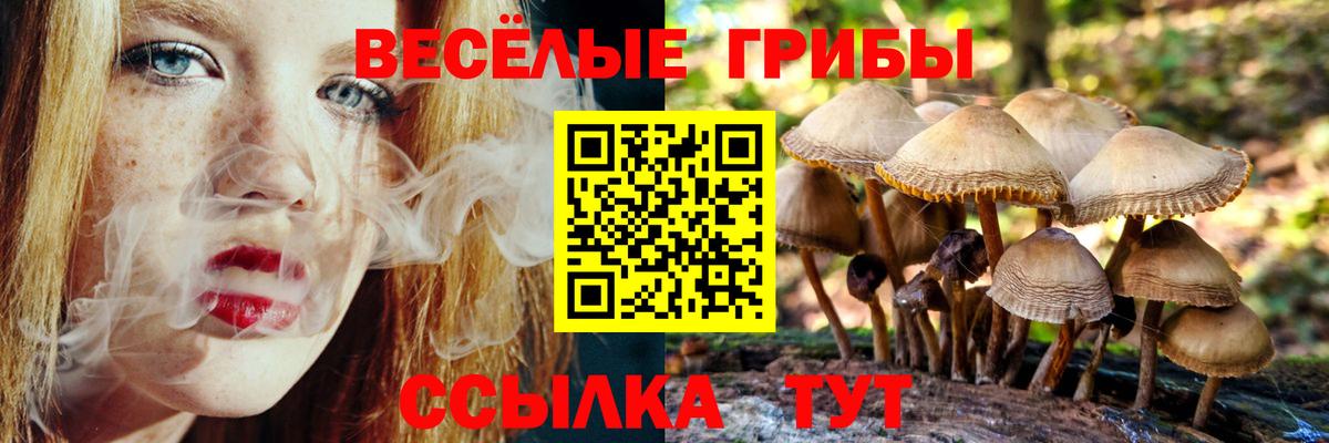 Псилоцибиновые грибы прущие грибы  сколько стоит  Ачинск 