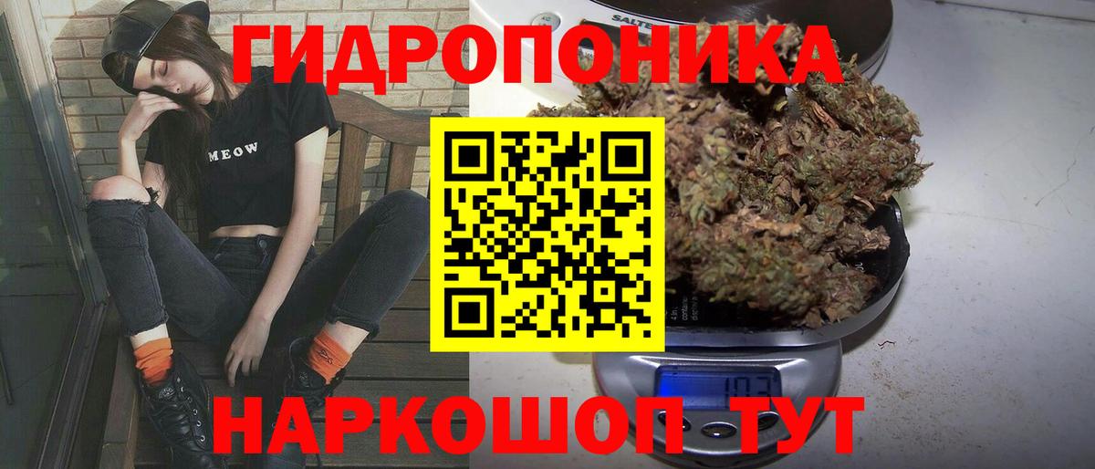 Канабис семена Ачинск